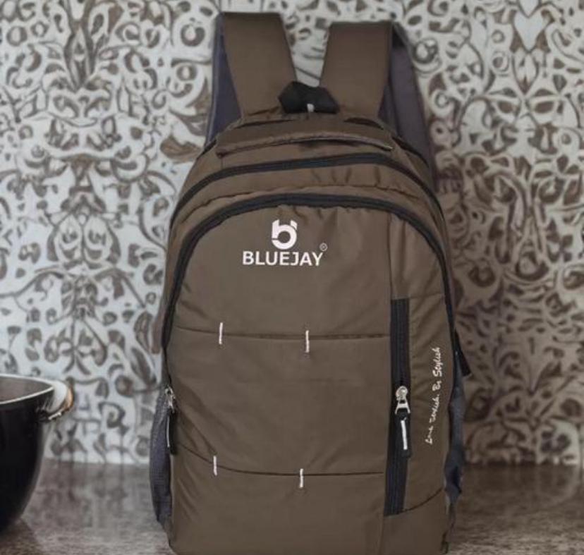 Bluejay Unisex School Bag | College Bag & Girls with Small Pockets & Laptop Compartment